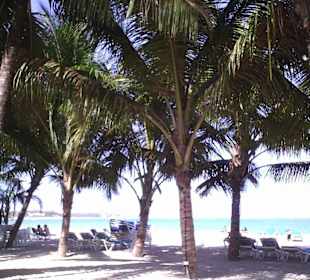 Strand von Cabarete