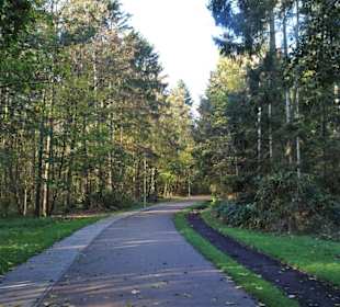 Impressionen aus dem Bürgerpark Bremerhaven