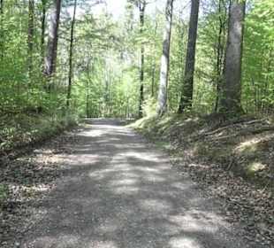 Wanderweg Hochgehwachsen