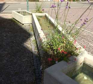 Dorfbrunnen Marienkirche Upfingen