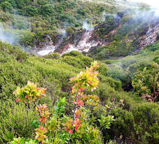 Inselrundfahrt Terceira