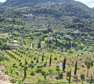 Wanderung Valldemossa