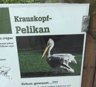 Südamaerika Bereich - Vogelpark