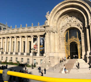 Petit Palais - Musée des Beaux-Arts de la Ville de Paris
