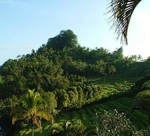 Auf dem Weg zum Gunung Batukau