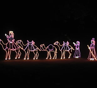 Magic Christmas in Lights