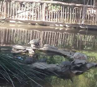 ZOO José Cruz Conde