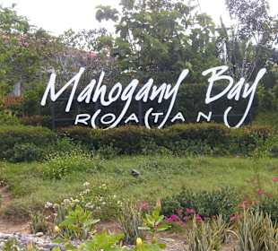 Hafen von Roatan (Honduras)