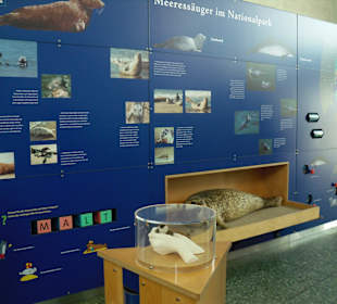 Impressionen