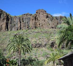 Palmitos Park