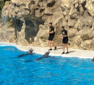 Loro Parque