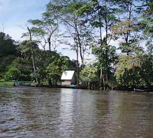 Rzeka nieopodal Tortuguero