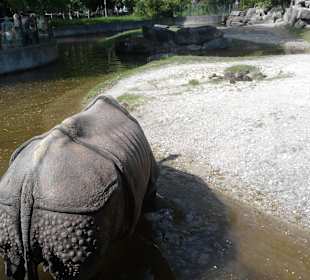  Tierpark Hellabrunn
