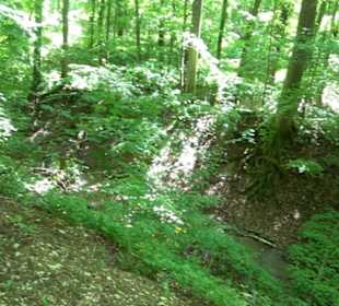 Mittlerer Gönninger See