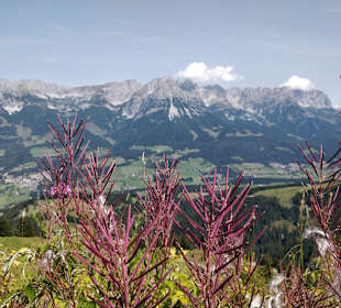Wilder Kaiser
