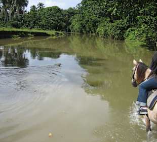 Nankita schwimmt voraus