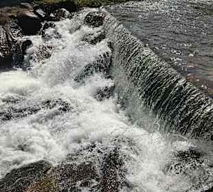 Wandern Wolfach