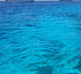 Korallenriff mit Boot erreichbar