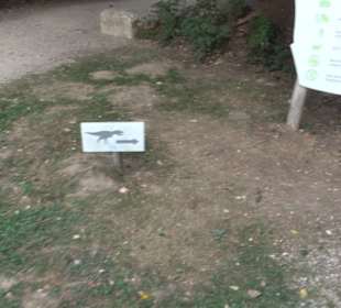 Dinosaurier Museum Altmühltal