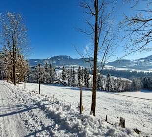 Wandern Schwendt