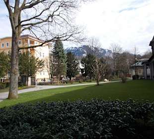 Kurpark Blick zum Predigtstuhl