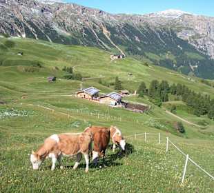 Wanderweg Richtung Goldknopf