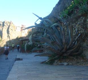 Der Liebesweg am Meer entlang