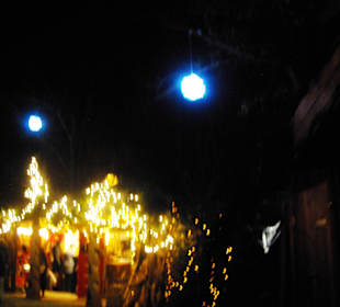 Am Anfang vom Gut Wolfgangshof