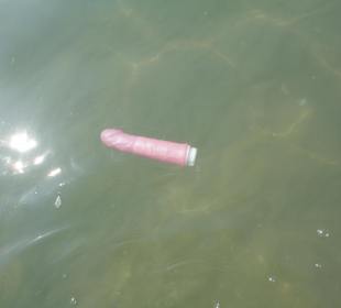 Einer von vielen Vibratoren im Wasser