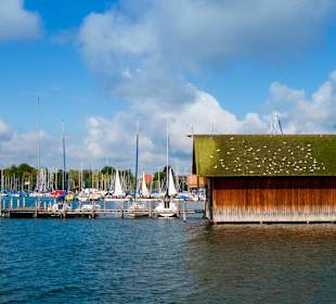 Sonnenbank für Seemöwen