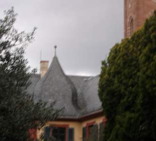 Schlosspark Weinheim