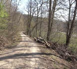 Geologischer Lehrpfad Kirnbachtal