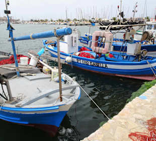 Am Kai der Fischer im Hafen von Alghero