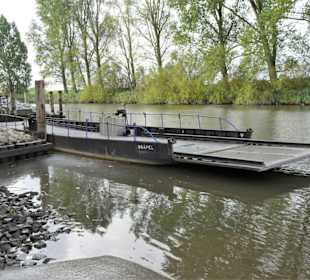 Eindrücke von der Prahmfähre Gräpel