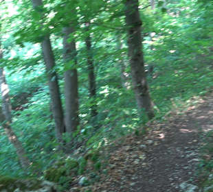 Tour entlang der Traifelbergfelsen