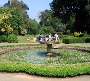 Eingang Botanischer Garten