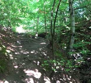 Wanderung Heslacher Wasserfälle und Heidenbrünnele