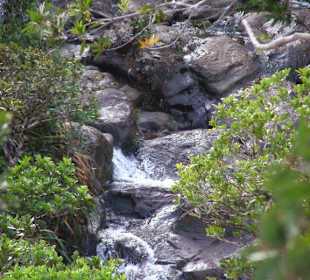 Beim Wasserfall Alexandra