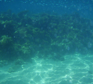 Unterwasseraufnahmen