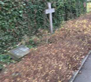 Friedhof 