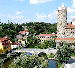 Blick über die Spree zur Altstadt