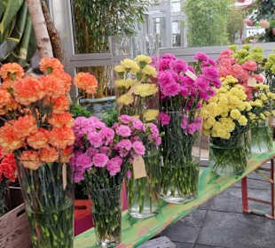 Im Rosenhaus zu sehen