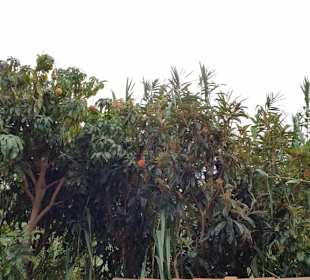 Landschaft von La Gomera