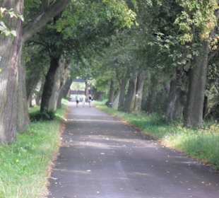 Muzeum Henryka Sienkiewicza Oblęgorek