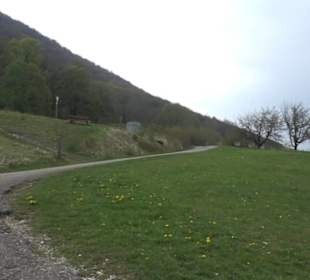 Calverbühl