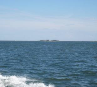 Hallig Langeneß von See die Südseite !