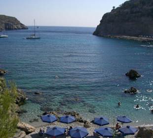 Anthony Quinn Bucht...