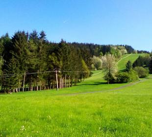 Panoramaweg Sankt Wendeler Land in Nonnweiler