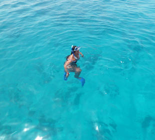 Mit Delfinen schwimmen. Echt Klasse Tag!