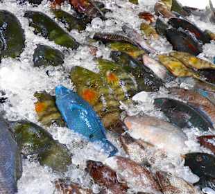 Stadtrundgang Hurghada